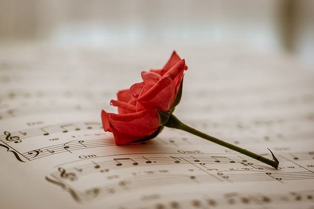 Foto uma rosa em cima de um livro de música